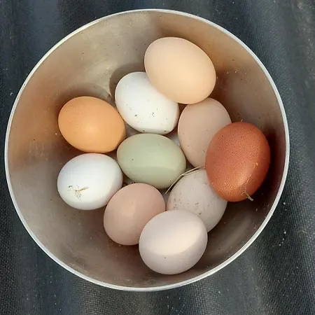 La Croisee Des Arts * La Bastide-l'Évêque