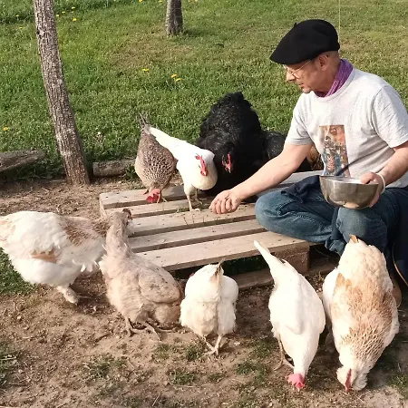 ベッド・アンド・ブレックファスト La Croisee Des Arts *