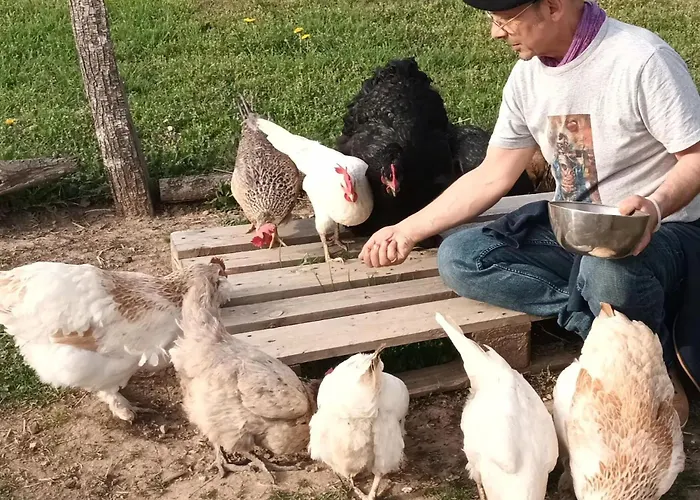 ベッド・アンド・ブレックファスト La Croisee Des Arts *