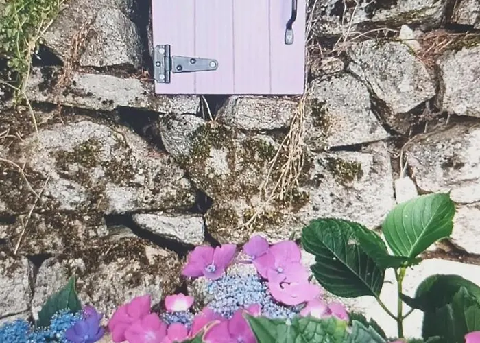 La Croisee Des Arts ベッド・アンド・ブレックファスト *