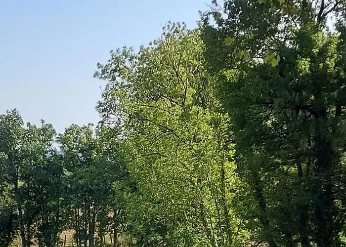 La Croisee Des Arts *