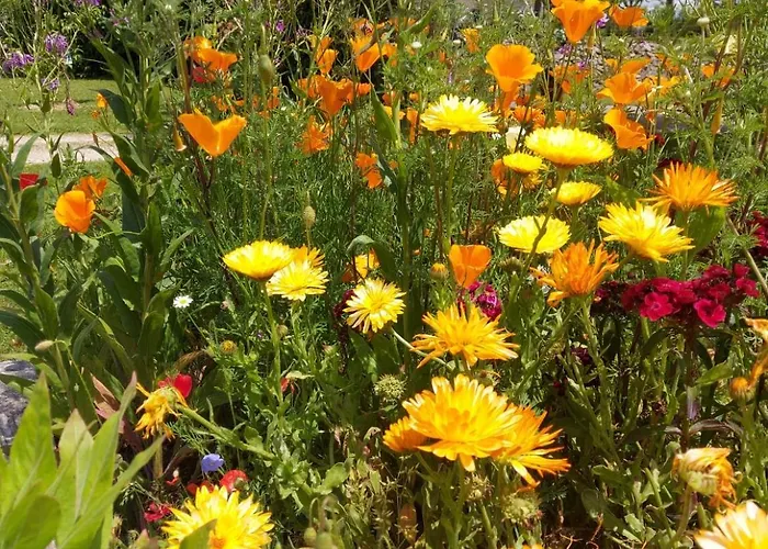 La Croisee Des Arts La Bastide-l'Évêque