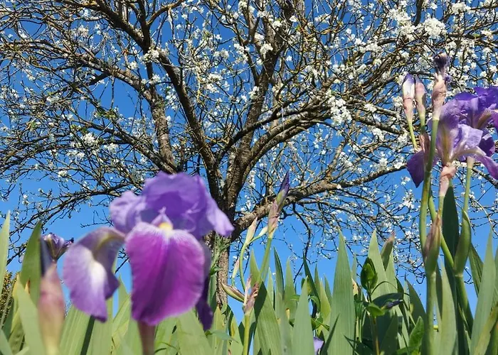 La Croisee Des Arts * La Bastide-l'Évêque