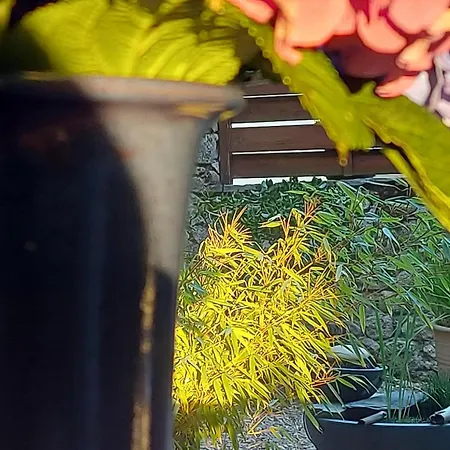 La Croisee Des Arts לינה וארוחת בוקר La Bastide-l'Eveque