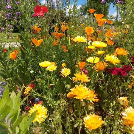 La Croisee Des Arts La Bastide-l'Eveque