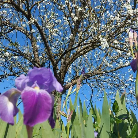 La Croisee Des Arts * La Bastide-l'Eveque
